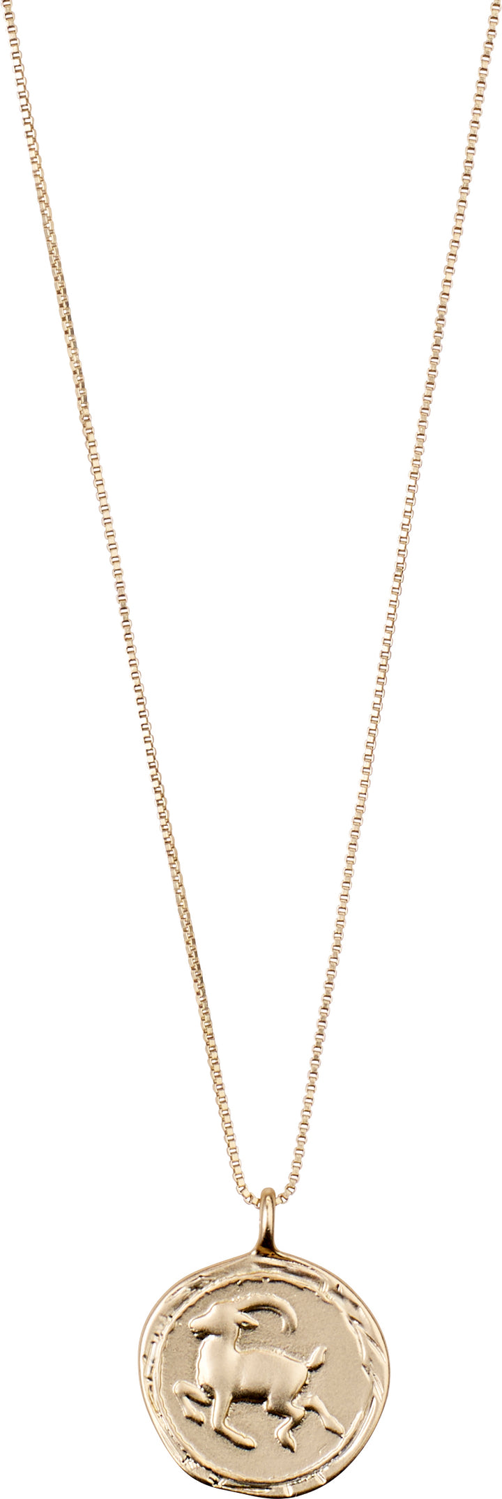 Horoscope Double Sided Necklace