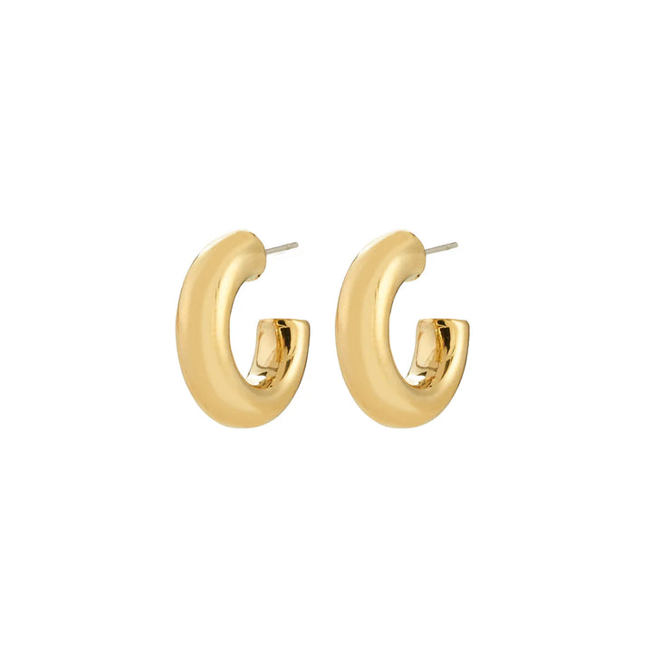 Phase Recycled Small Hoops