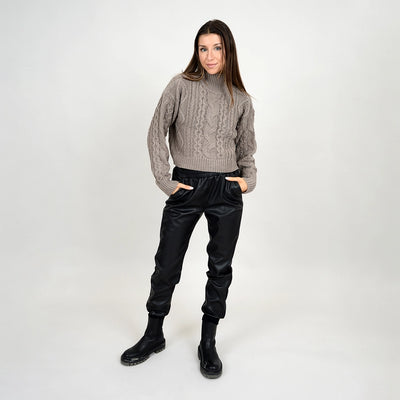 Erin Crop Turtleneck