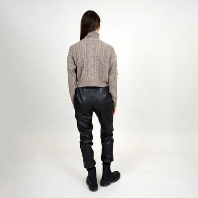 Erin Crop Turtleneck