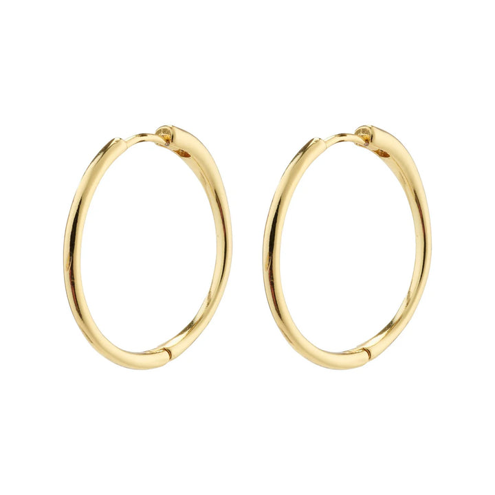 Eanna Recycled Large Hoops