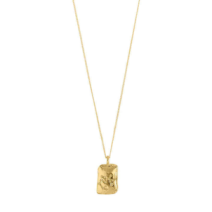 Horoscope Double Sided Square Coin Pendant