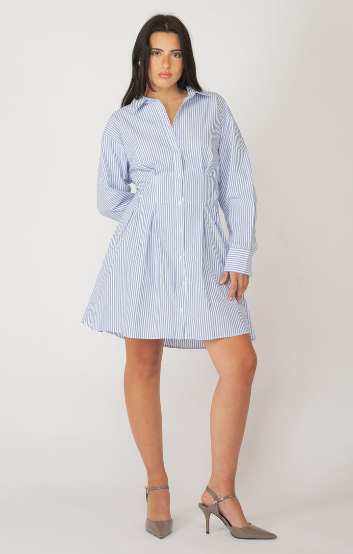 Tobie Button Front Shirt Dress